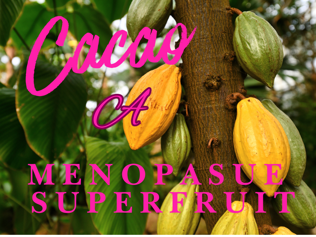 Cacao: An Ancient Superfood With Modern Benefits for Menopause